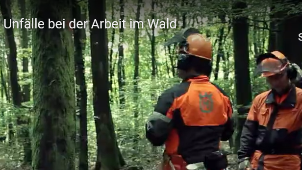 Slackline im Forst – Teil 1